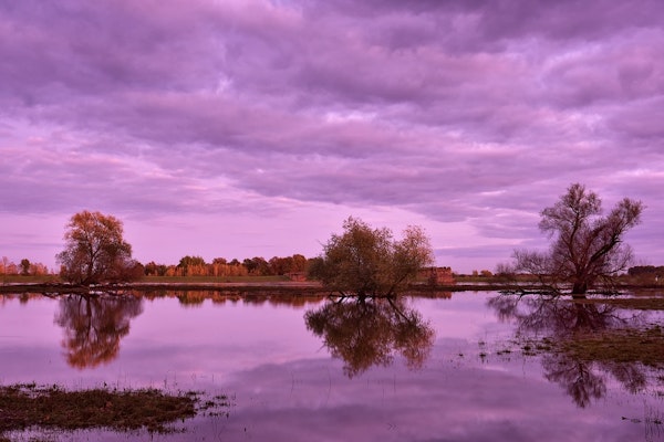 NFIP Debt and Low Uptake Leave Texas Flood Losses Largely Uninsured